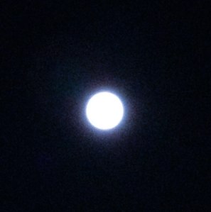Blue Moon 2013