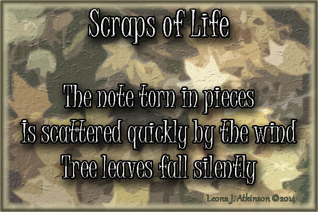 Scraps of Life Haiku