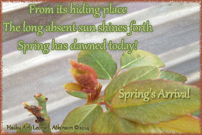 Spring Dawns--Haiku Art