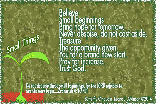 Small Beginnings--Butterfly Cinquain