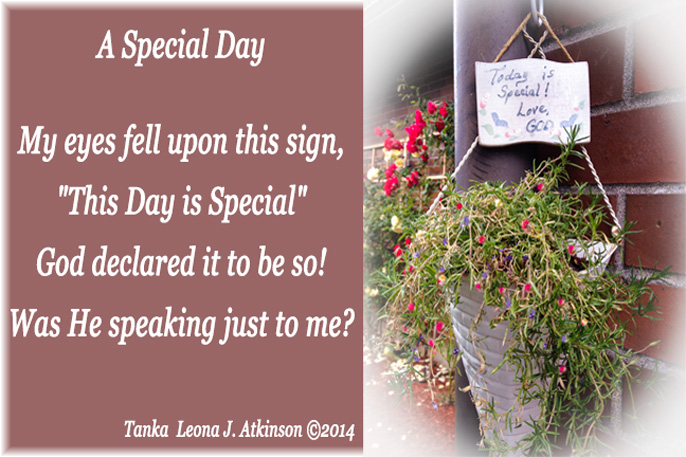A Special Day--Tanka poem 