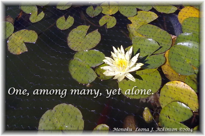 Alone--Monoku poetry