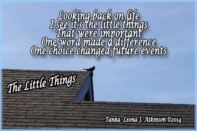 The Little Things--Tanka poem--Bird on a roof photo