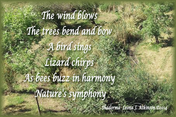 Meadow Sounds--Shadorma poem