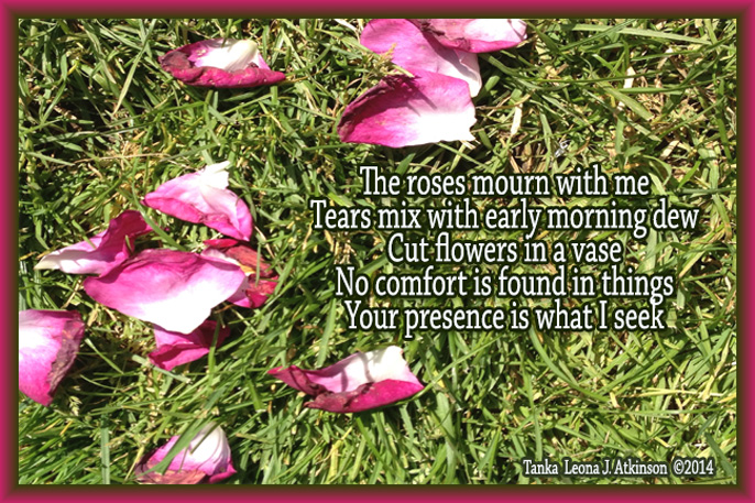 Gone--Rose Petals on ground-Tanka poem about loss