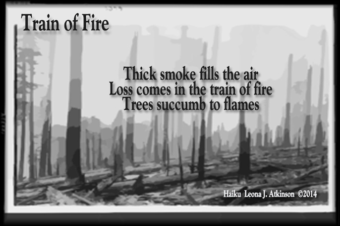 forest fire, Haiku