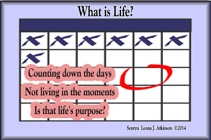 Senryu poem about life