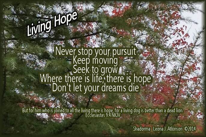 Shadorma poem about hope based on scripture Eccl 9:4