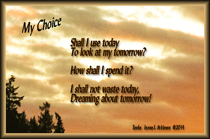 Tanka poem about the choice we have on how to spend each day