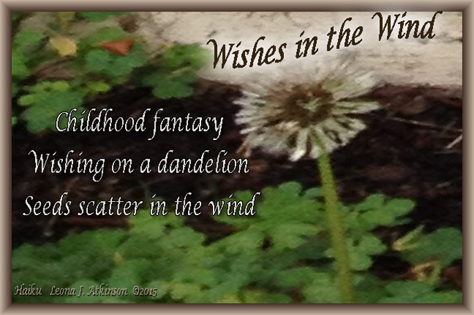 Dandelion Wishes-Haiku