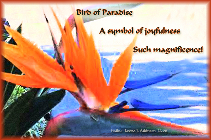 Bird of Paradise flower and haiku
