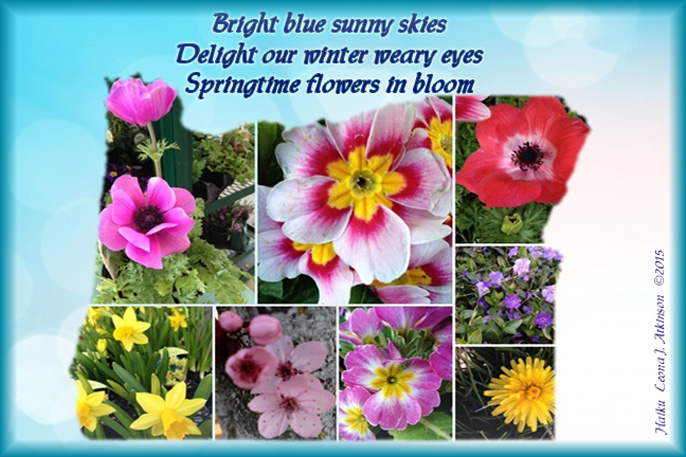 Springtime flowers in Oregon--Haiku poem