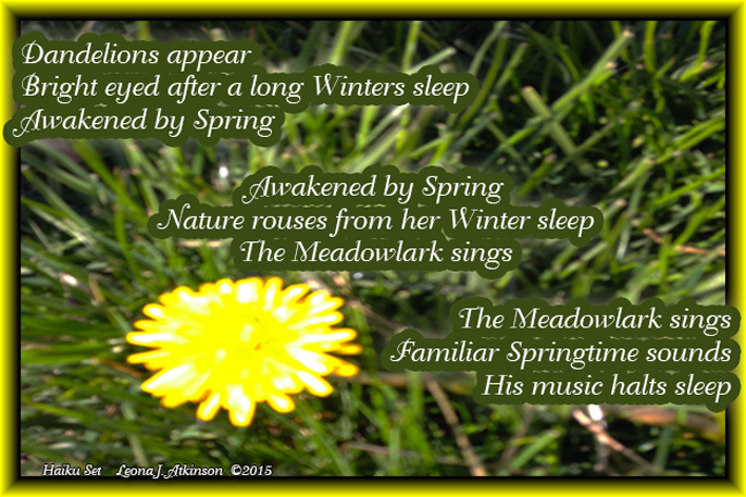 Dandelion, Spring, Haiku Set, prompt "sleep"