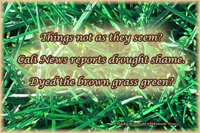 Haiku about the California Drought Shame