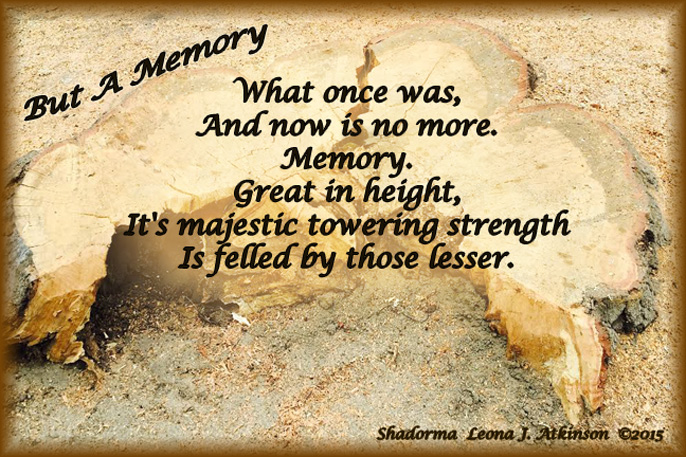 Tree Trunk--Shadorma poem