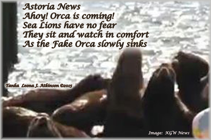 Sea Lion Invasion in Astoria, OR.  KGW News Report--Tanka poem