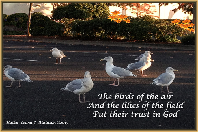 Haiku based on Trust--Scripture--Matthew 6:26--6:28-29