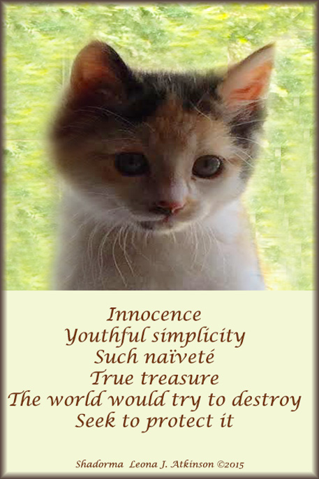 Kitten photo--Shadorma poem about goodness