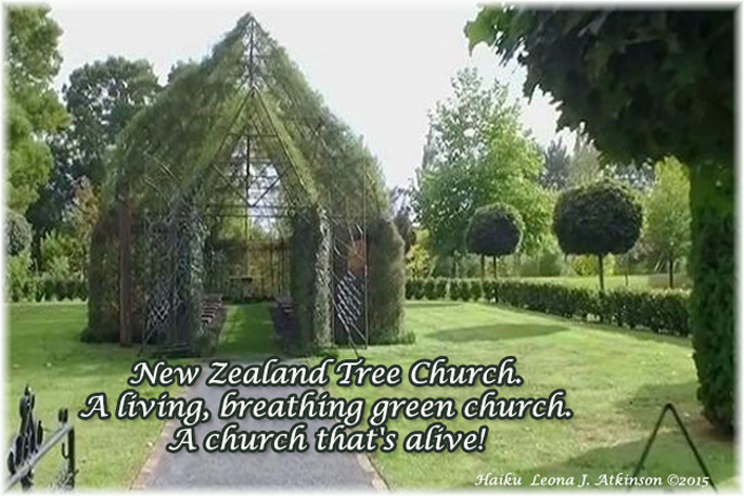Haiku about "Tree Church"