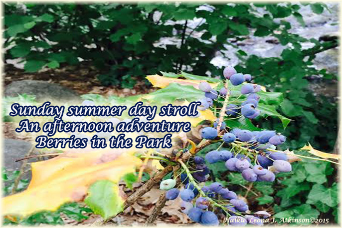Summer Day in the Park--Haiku