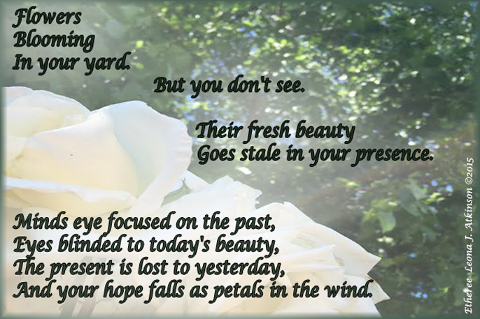 White Roses--Etheree poem about being blinded to the present beauty