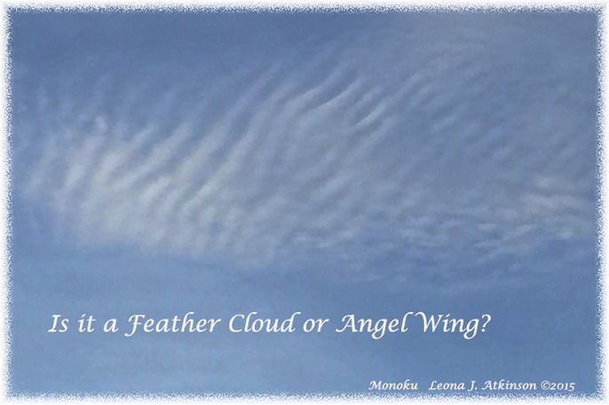 Feather Cloud or Angel Wing?  Monoku poem