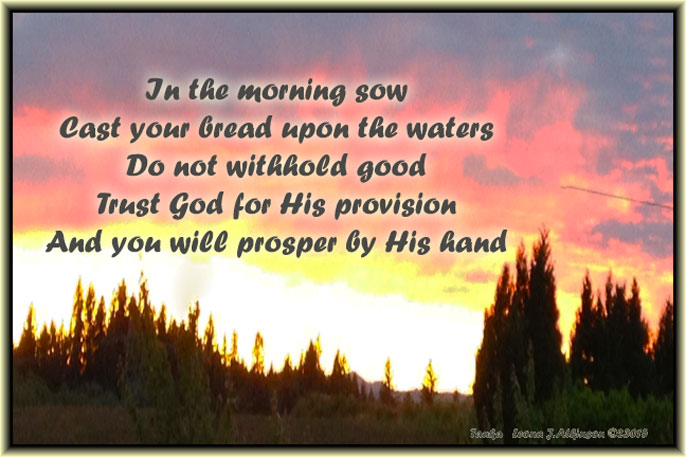 Sunrise--Tanka poem based on  Ecclesiastes 11