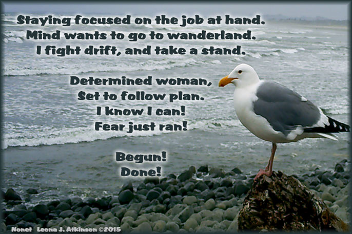 Focused on the job at hand--Nonet poem--Seagull picture