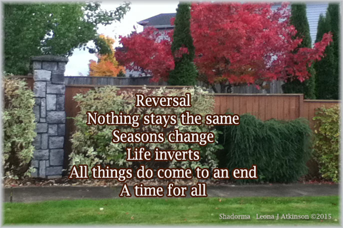 Seasons of Life--Shadorma poem
