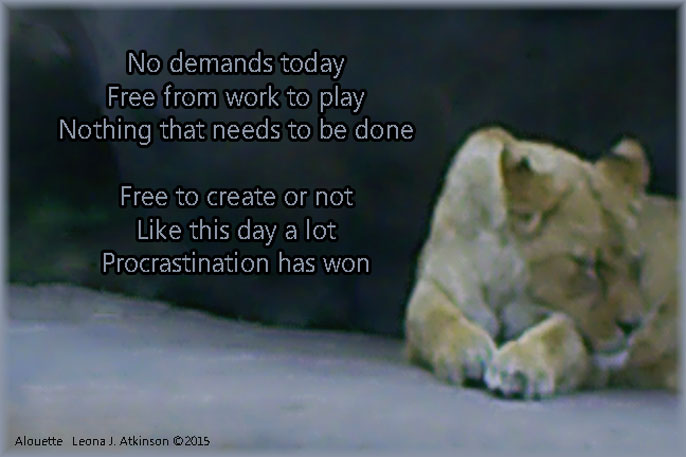 Doing Nothing--Alouette poem--lion sleeping