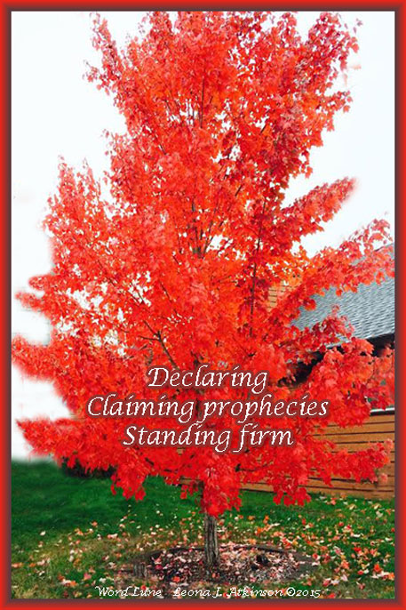 Orange Fall Tree--Word Lune poem