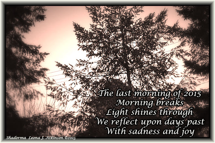 New Years Eve--Shadorma poem