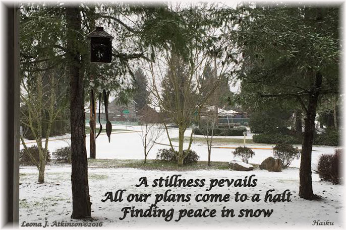 Finding Peace in the snow--Haiku