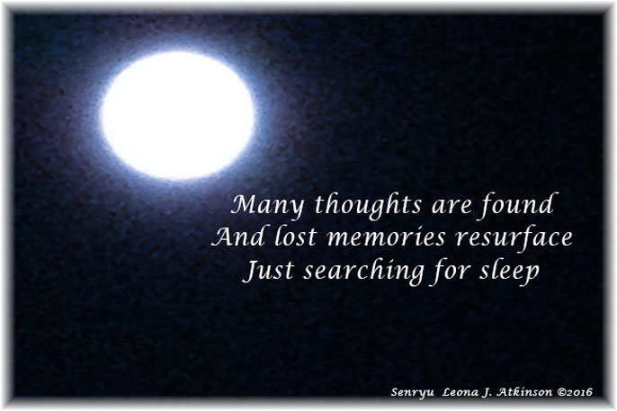 searching for sleep--Senryu poem