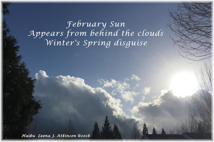 February Sunshine--Haiku