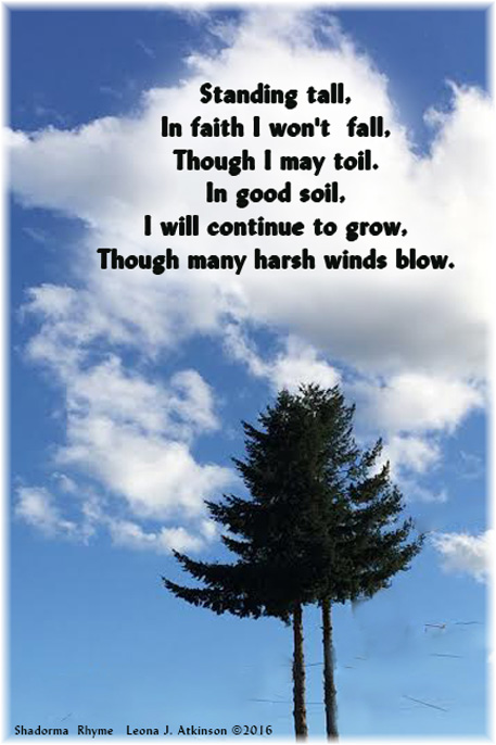 tree, clouds, Shadorma, Rhyme, poetry