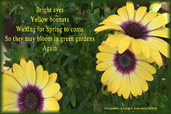 Spring Flowers, Cinquain poem