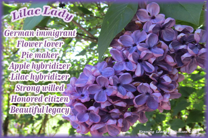 Lilac photo--Kennings poem about the Lilac Lady