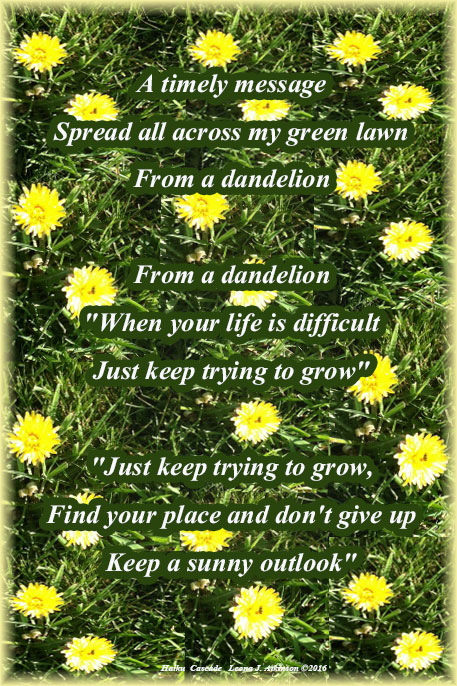 Dandelions--Haiku Cascade poetry