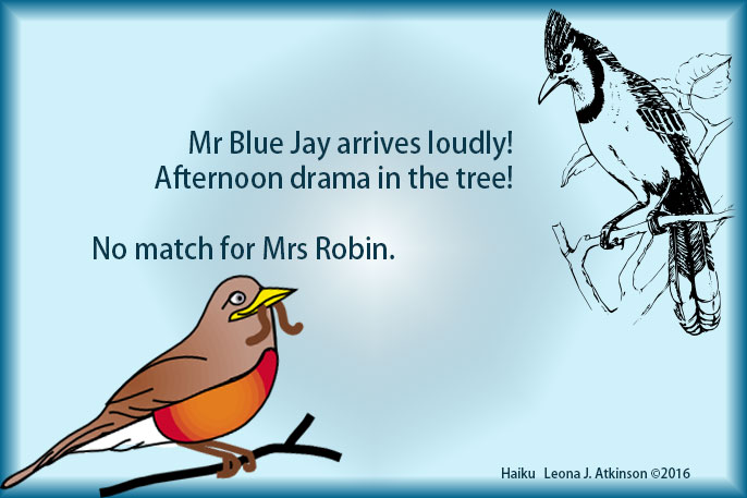 out-matched--robin vs bluejay--Haiku