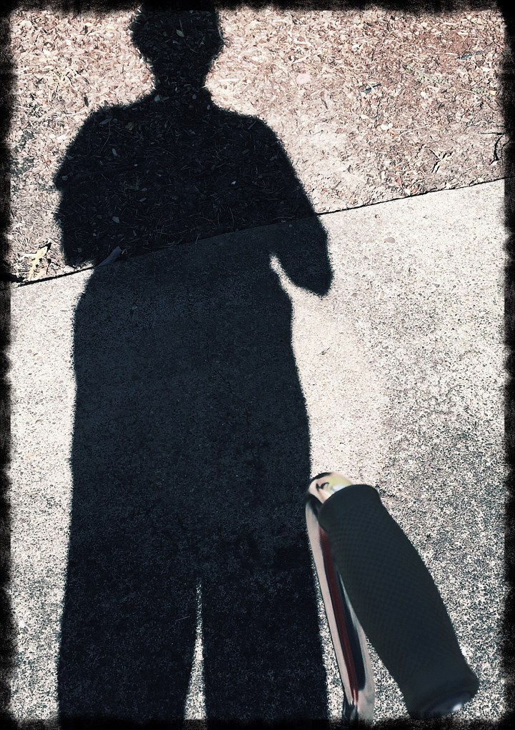 my shadow with cane