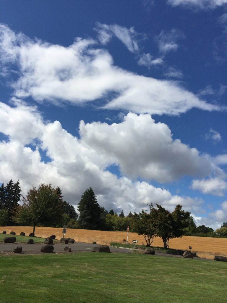 sky, clouds, trees, grass, wheat field, rocks, September day