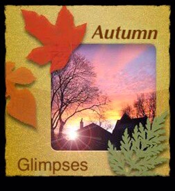 Autumn Glimpses, sunshine, Fall leaves