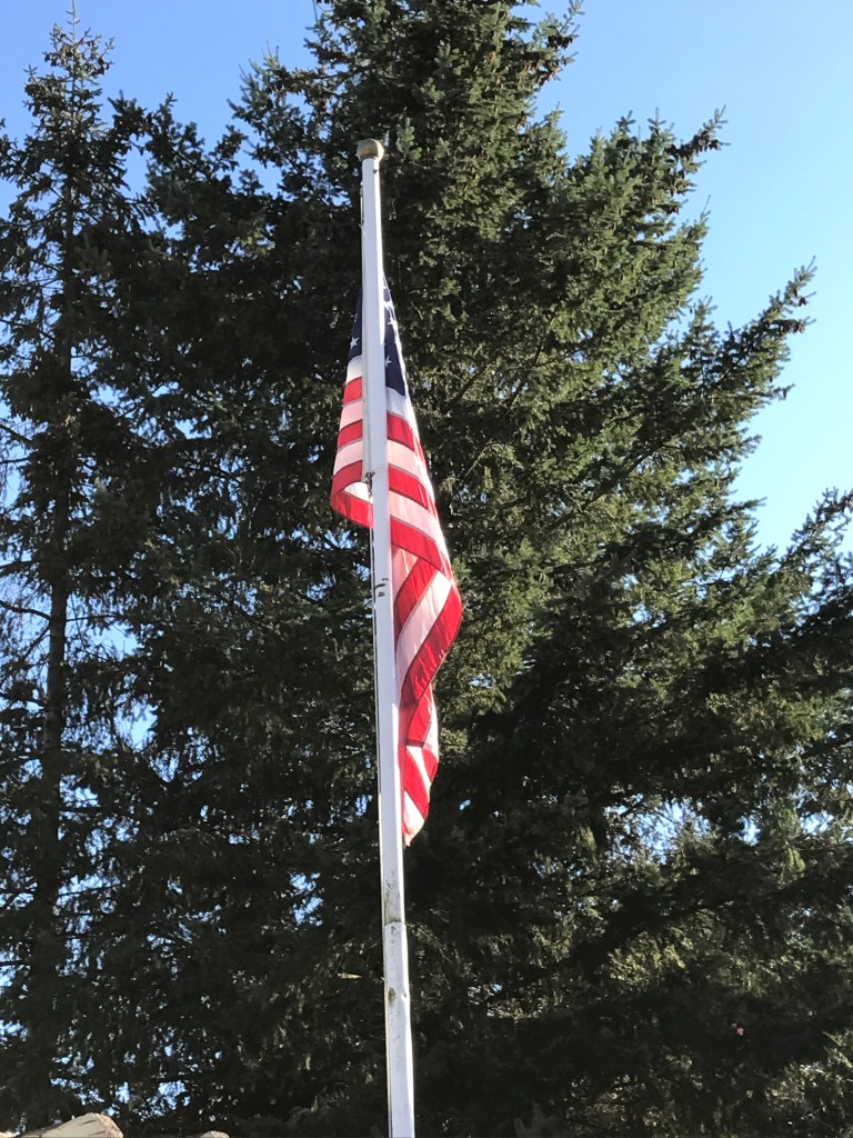 Flag of the USA