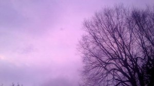 Violet Sky