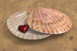 Seashell, heart