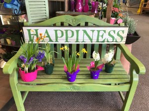Happiness, bench, spring flowers