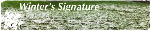 Winter's Signature, Snow on Green Grass