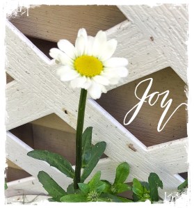 White Daisy, Joy 
