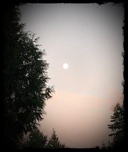 Sunset--Moonlight--Sky